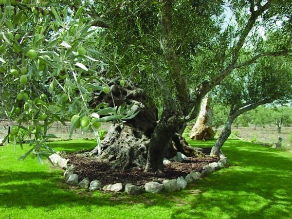 Séjour à la ferme Quinta Dos Tesouros