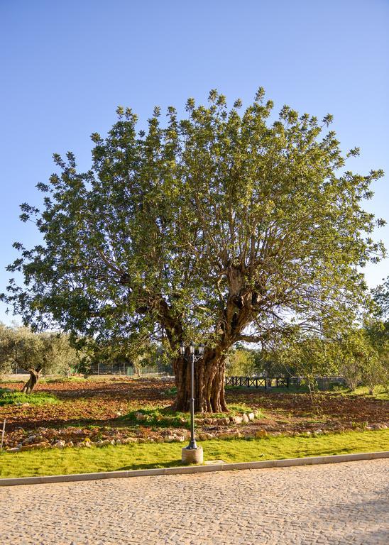 Quinta Dos Tesouros Séjour à la ferme São Brás de Alportel